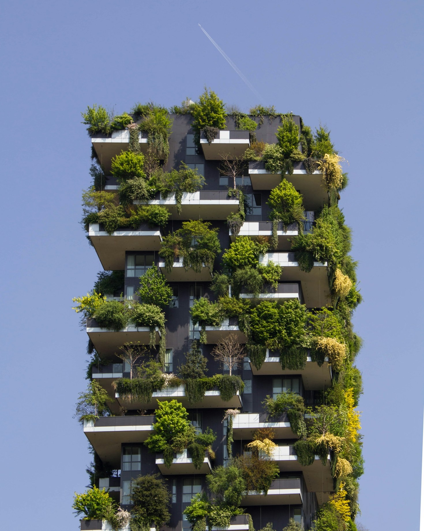 Top 5 Sustainable Living Tips Rooted in Heritage
